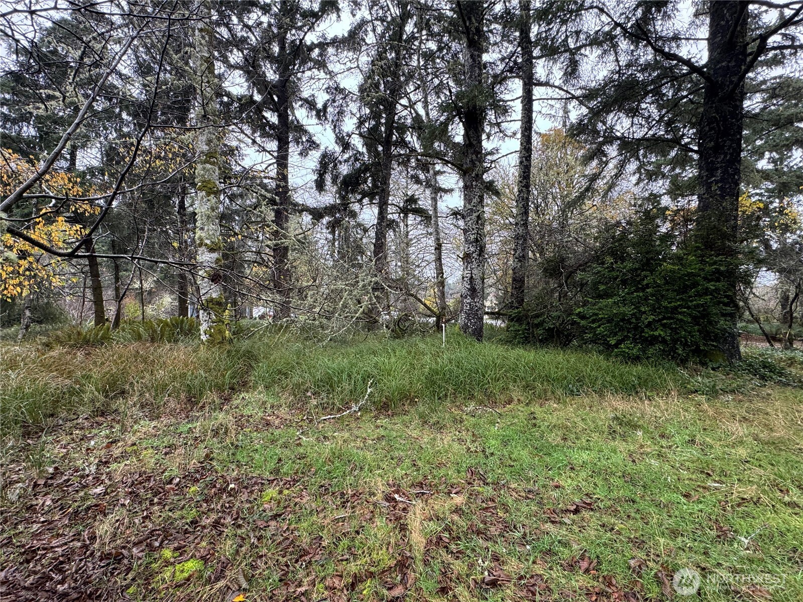 764 Tern Court , Ocean Shores, WA 98569