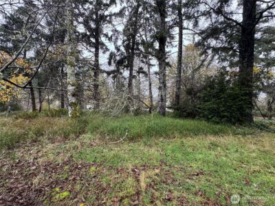 764 Tern Court , Ocean Shores, WA 98569 - Photo 6