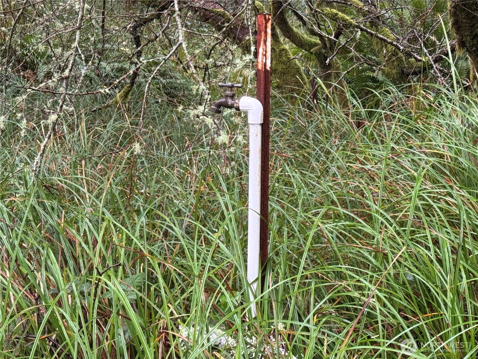 764 Tern Court , Ocean Shores, WA 98569