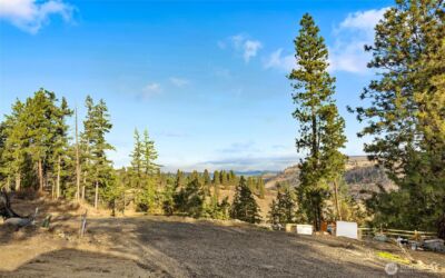 0 Morrison Canyon Lane , Cle Elum, WA 98922