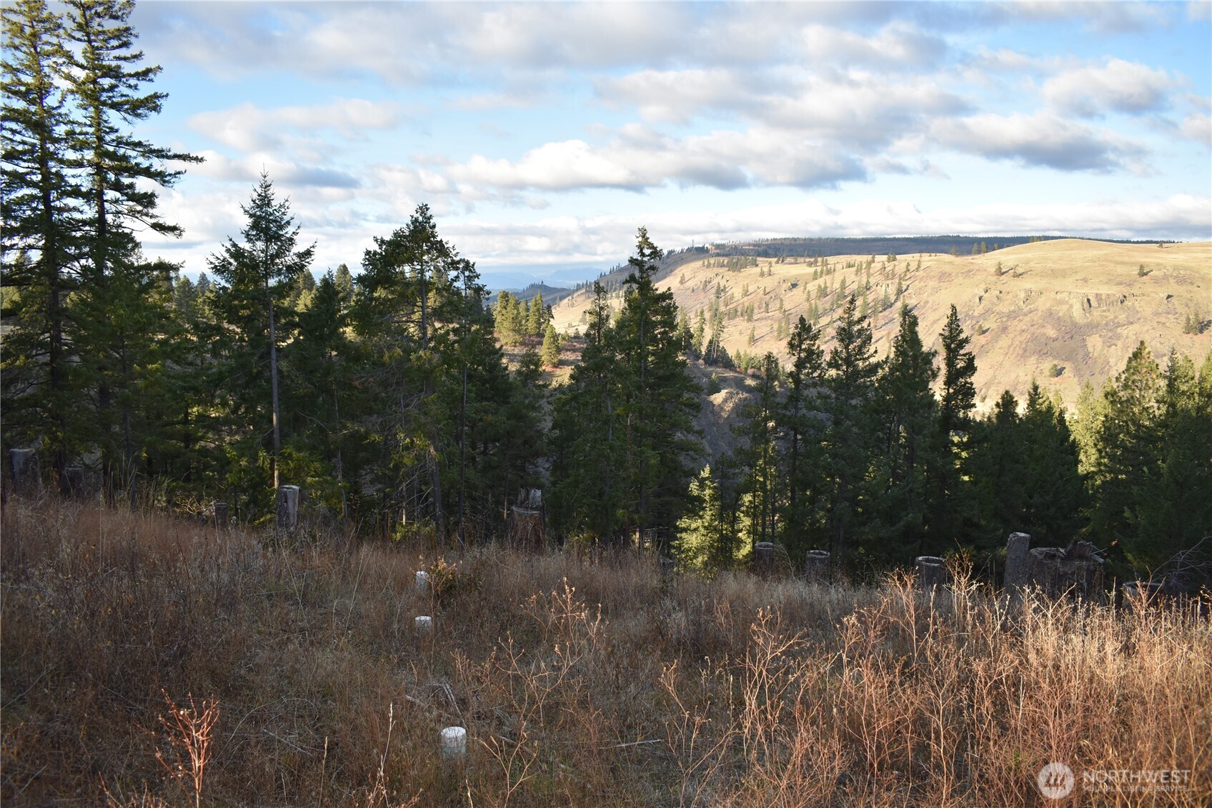 0 Morrison Canyon Lane , Cle Elum, WA 98922