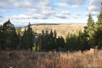 0 Morrison Canyon Lane , Cle Elum, WA 98922 - Photo 22