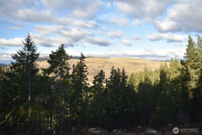 0 Morrison Canyon Lane , Cle Elum, WA 98922 - Photo 29