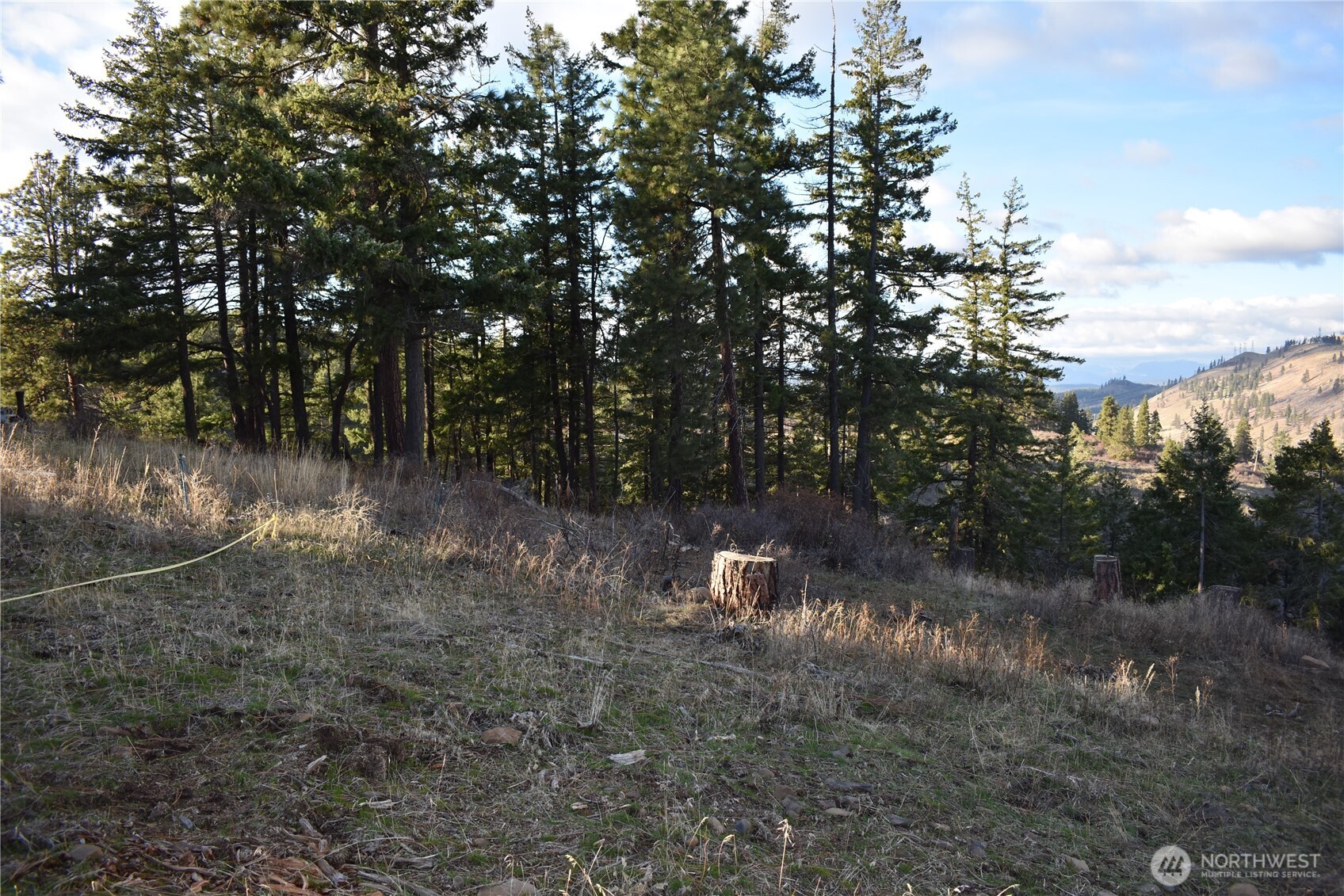 241 Morrison Canyon Lane , Cle Elum, WA 98922