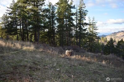 241 Morrison Canyon Lane , Cle Elum, WA 98922 - Photo 29