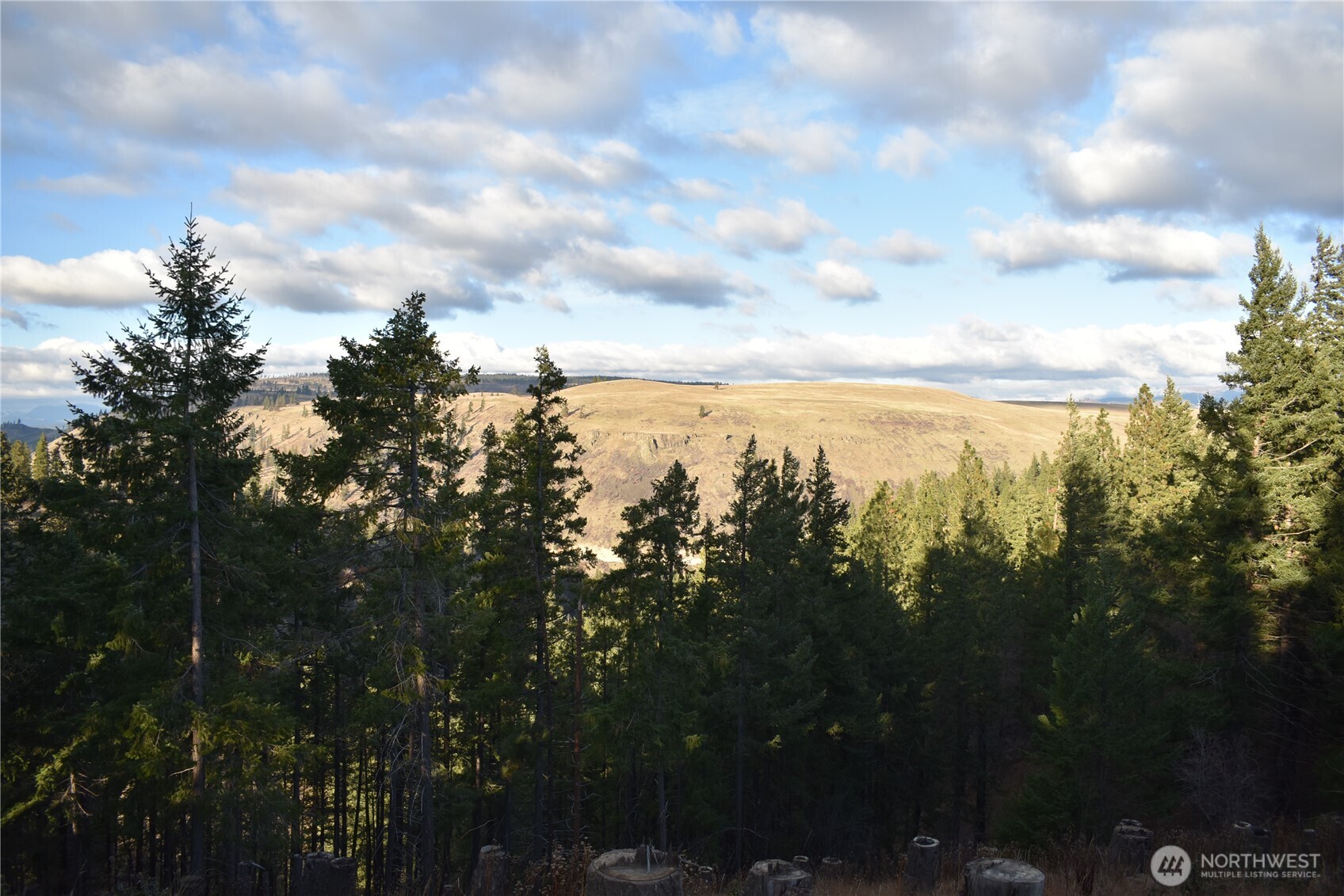 241 Morrison Canyon Lane , Cle Elum, WA 98922