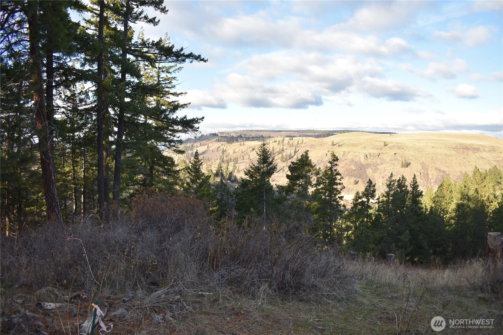 241 Morrison Canyon Lane , Cle Elum, WA 98922