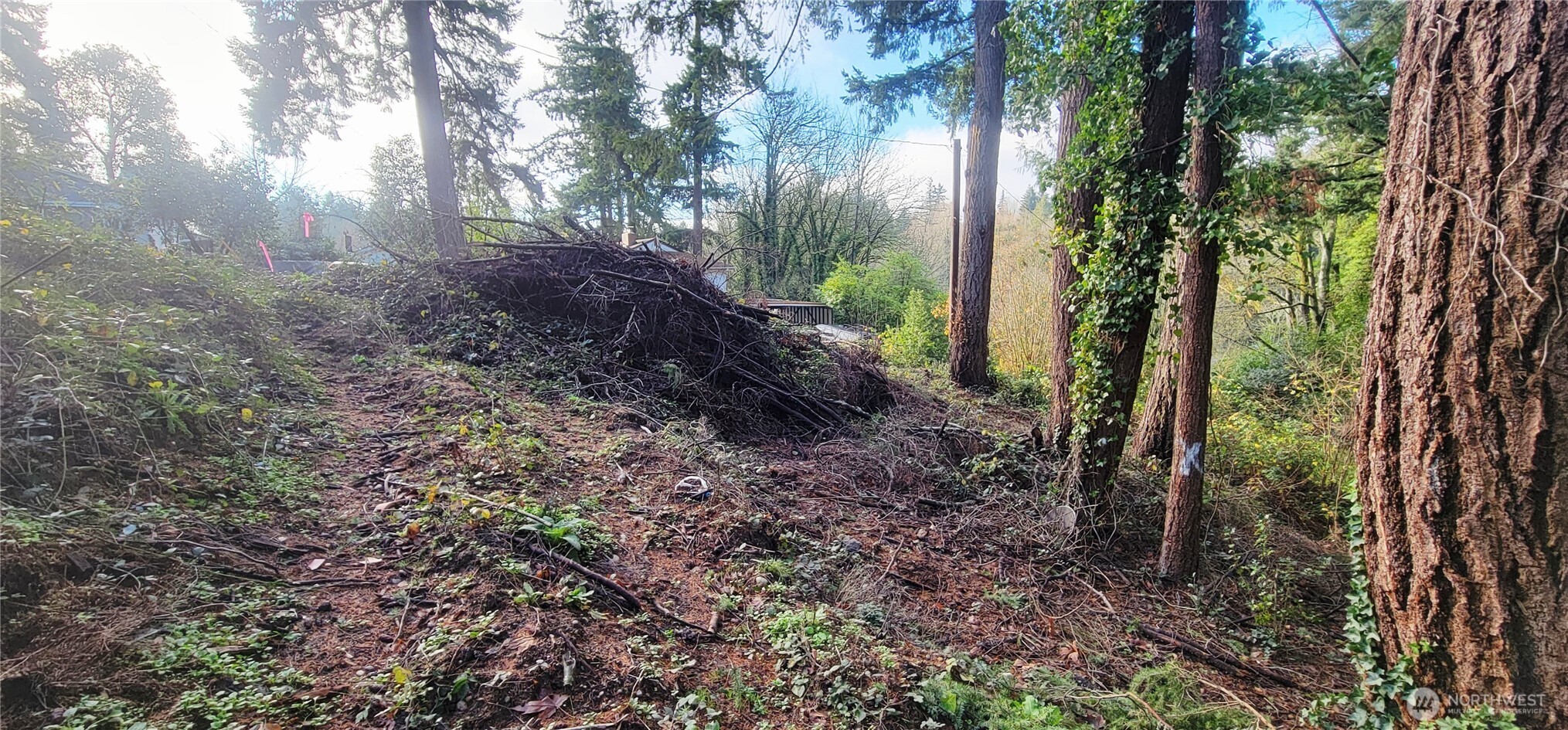 3202 17th Street , Bremerton, WA 98312