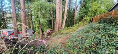 3202 17th Street , Bremerton, WA 98312 - Photo 4