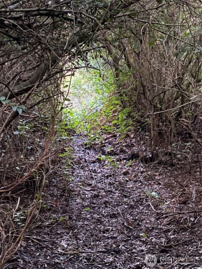 313 Sand Dune Avenue NW, Ocean Shores, WA 98569 - Photo 23