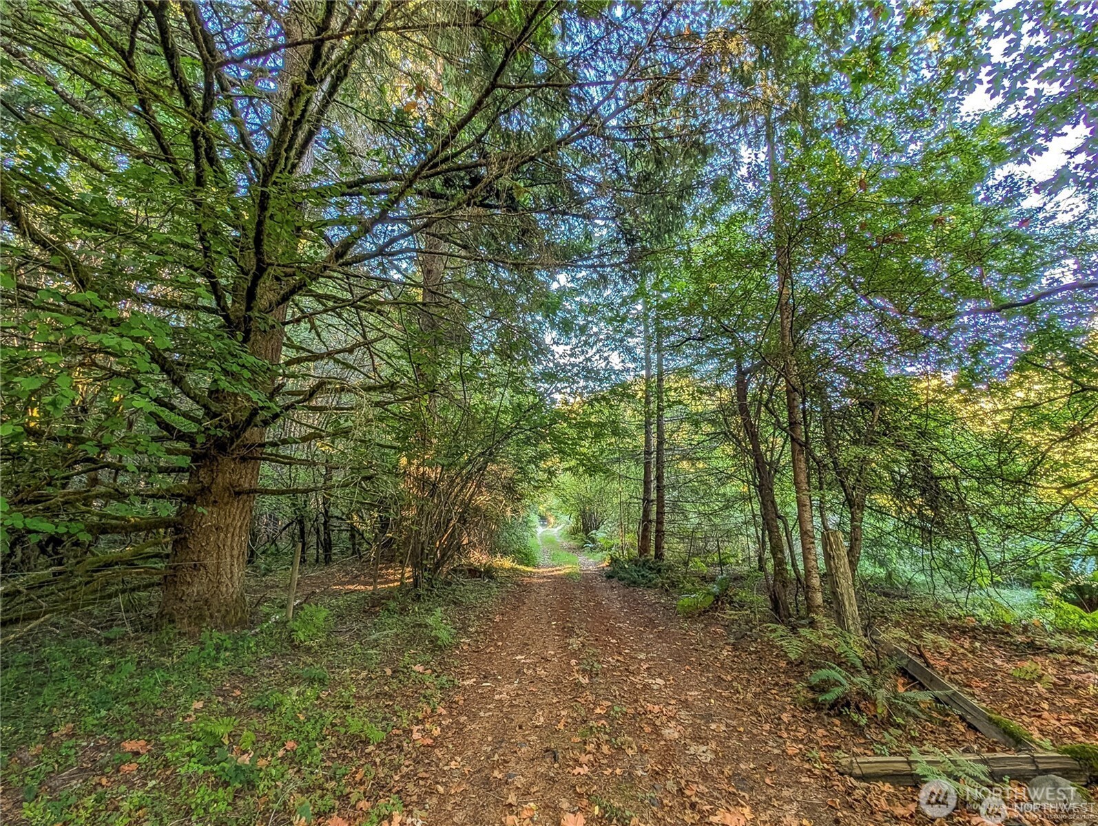 202 Kauer Road , Randle, WA 98377