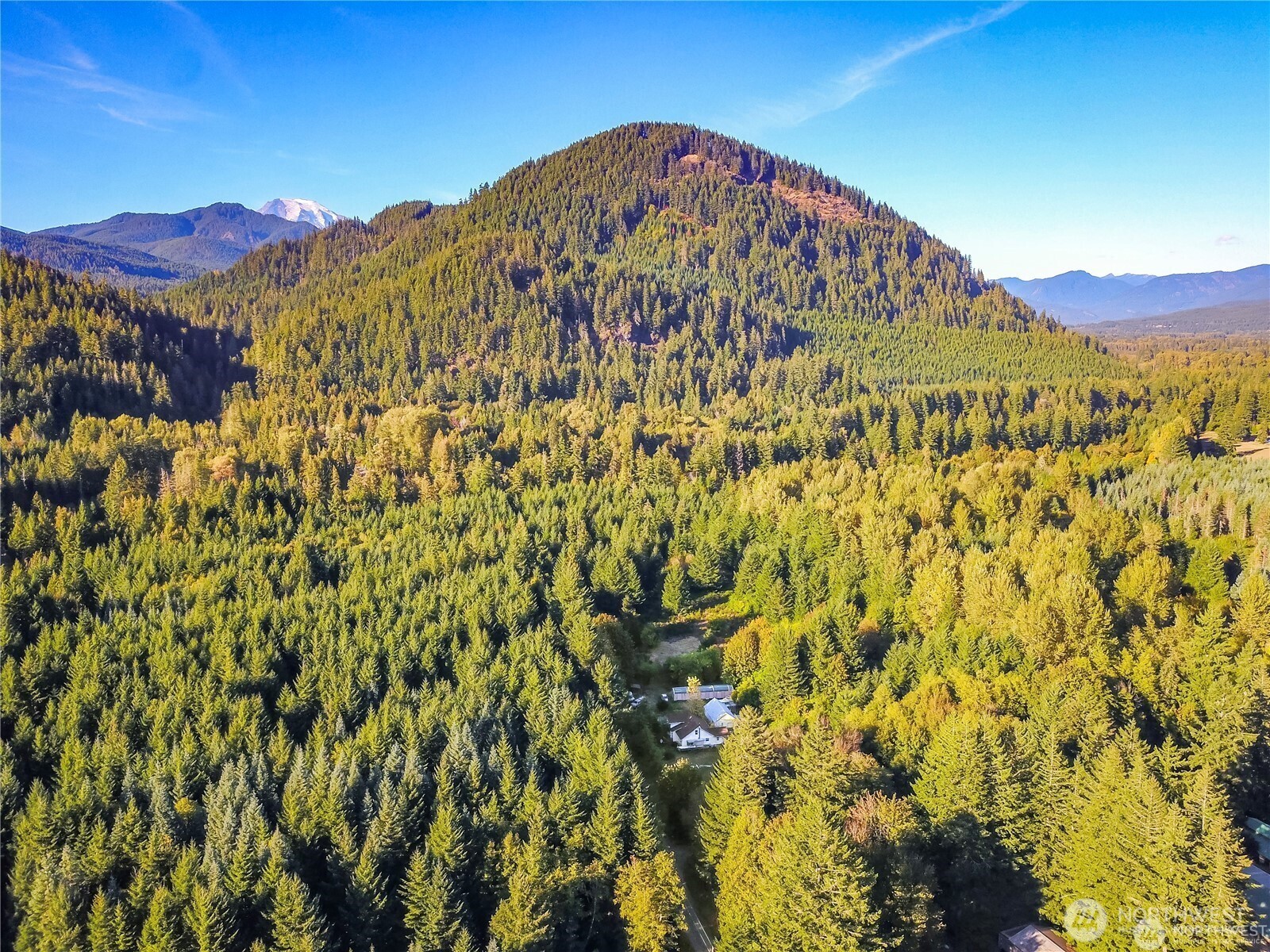 202 Kauer Road , Randle, WA 98377