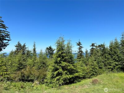 36 Coastline Drive , Orcas Island, WA 98245 - Photo 26