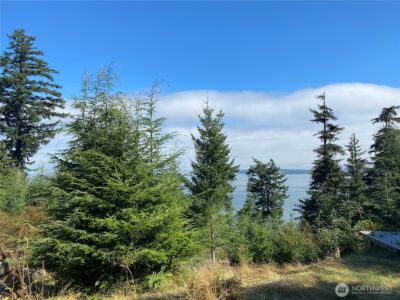 36 Coastline Drive , Orcas Island, WA 98245 - Photo 27