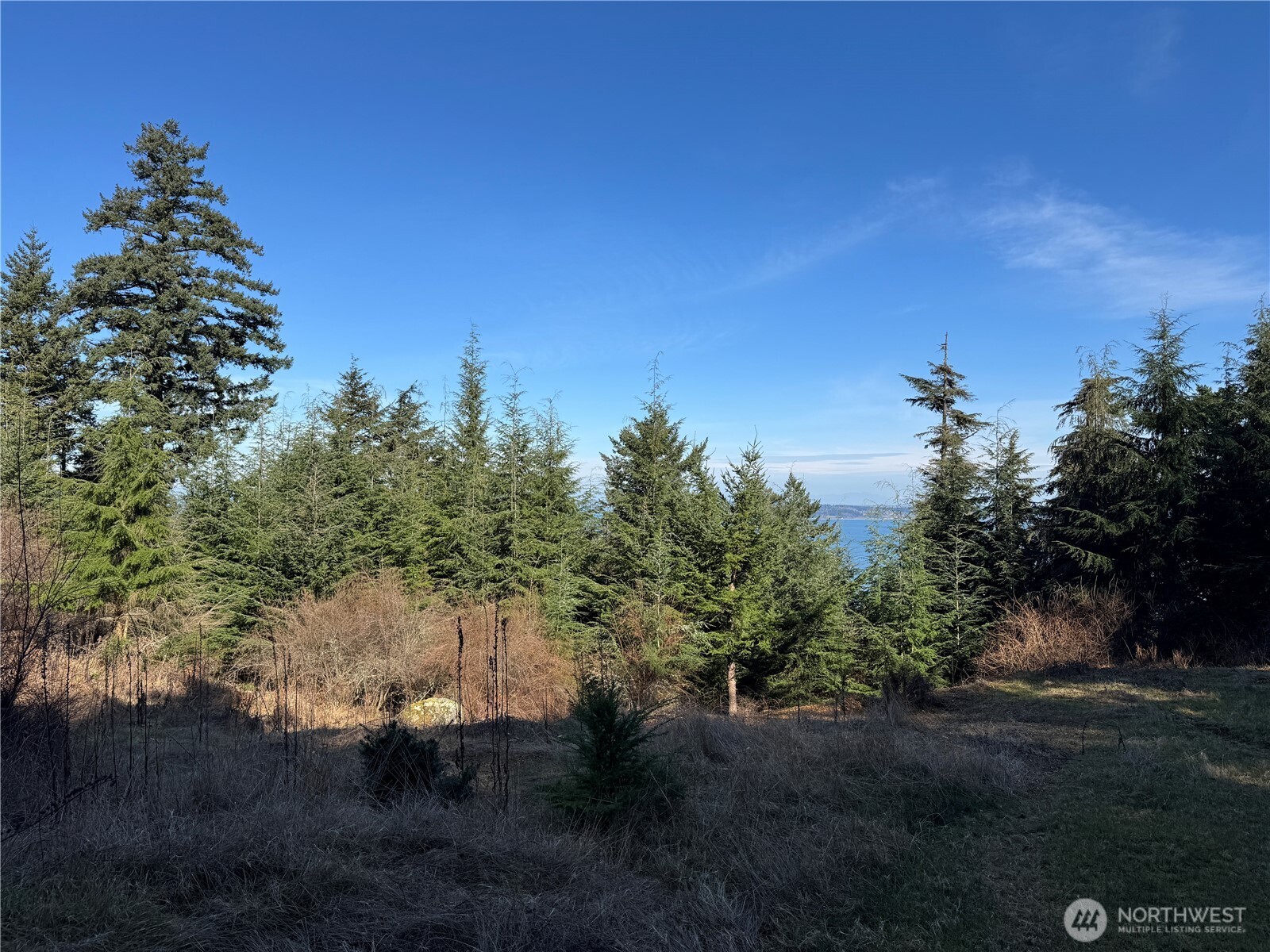 36 Coastline Drive , Orcas Island, WA 98245