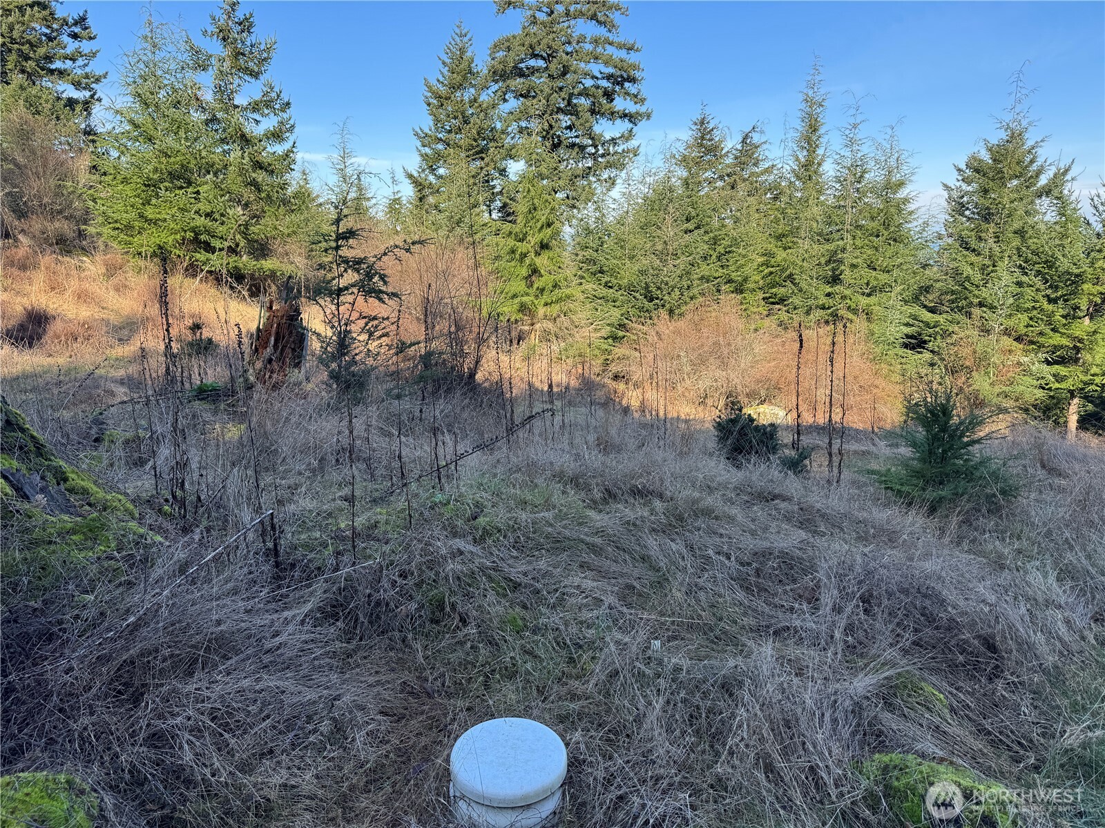 36 Coastline Drive , Orcas Island, WA 98245