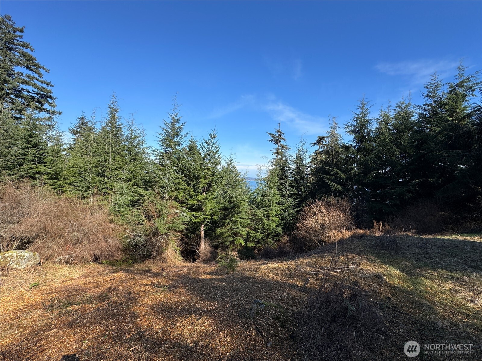 36 Coastline Drive , Orcas Island, WA 98245
