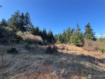 36 Coastline Drive , Orcas Island, WA 98245 - Photo 31