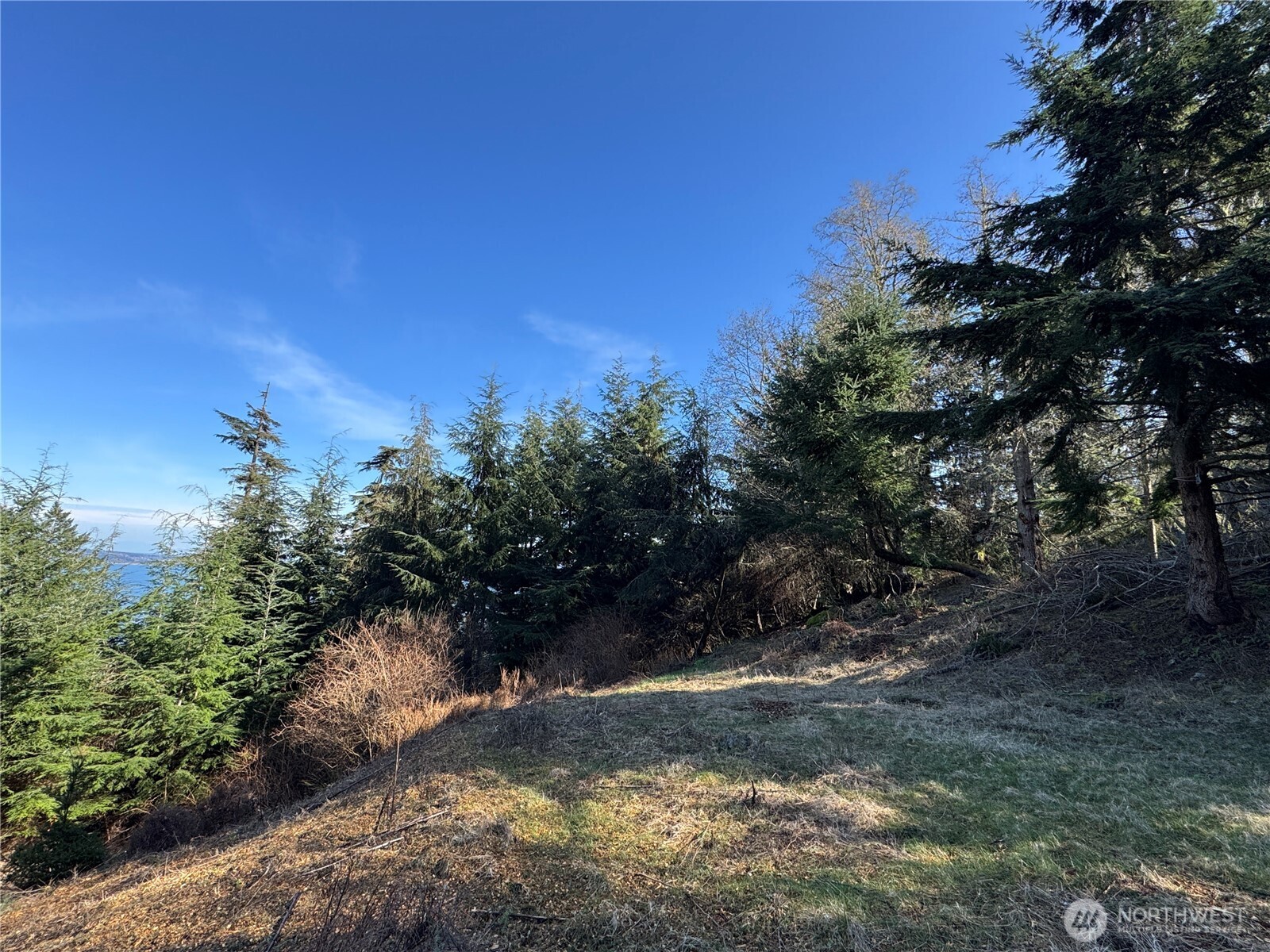 36 Coastline Drive , Orcas Island, WA 98245
