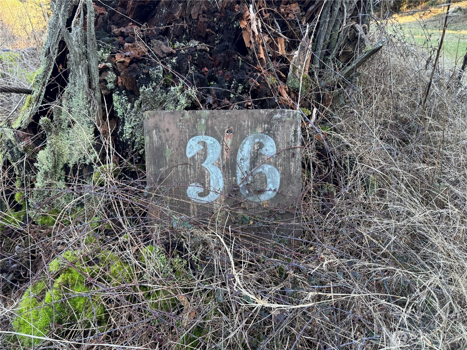 36 Coastline Drive , Orcas Island, WA 98245