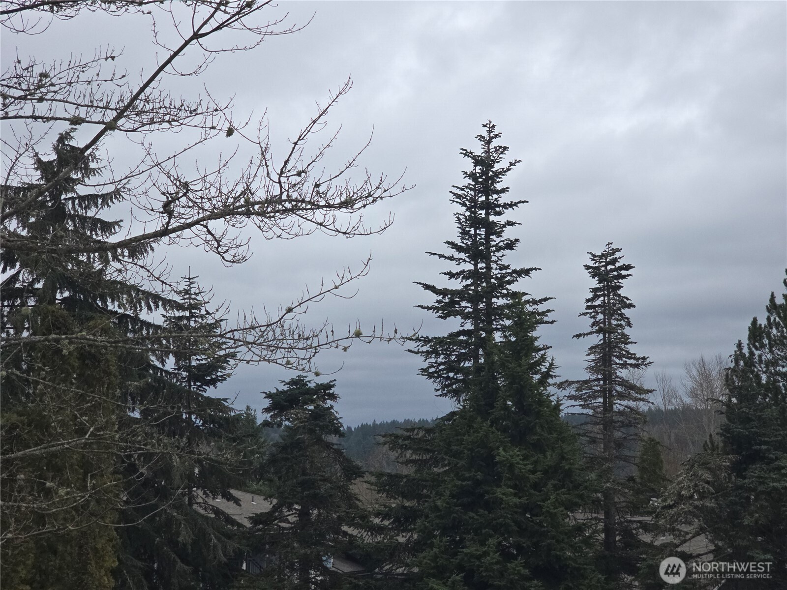 7417 Old redmond Road , Redmond, WA 98052