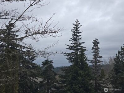 7417 Old redmond Road , Redmond, WA 98052 - Photo 21