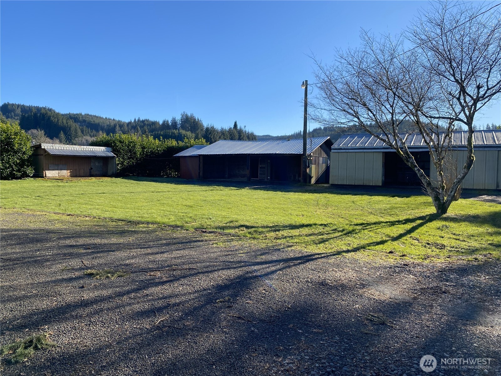 234 SE E st , Forks, WA 98331