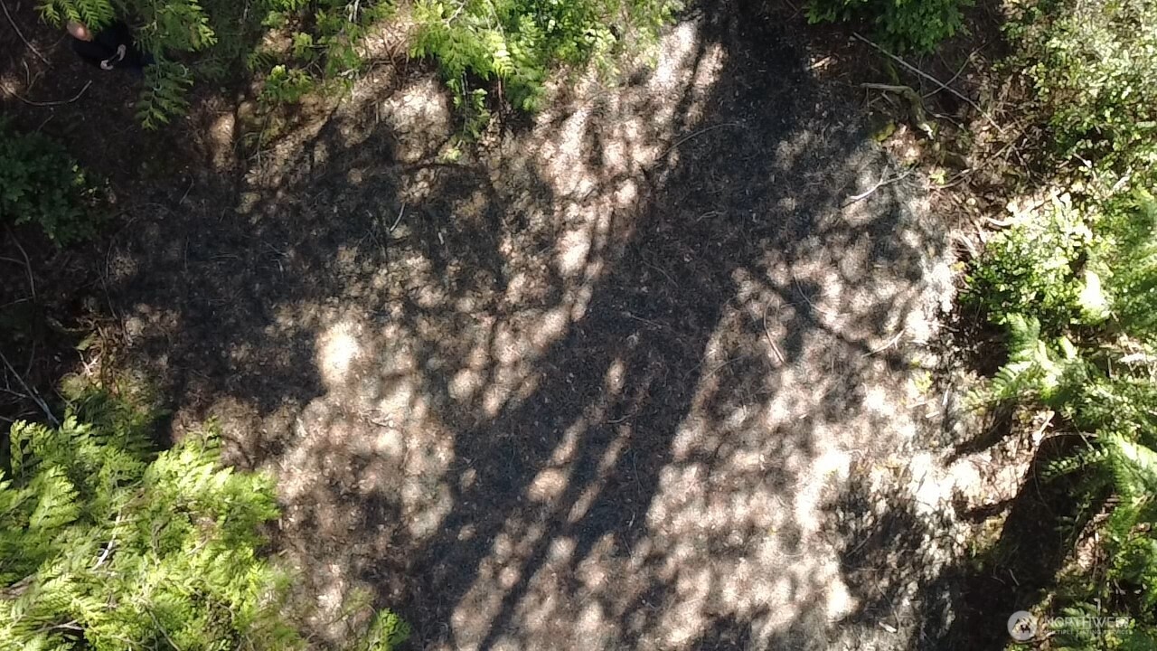 655 E Portage Road , Shelton, WA 98584