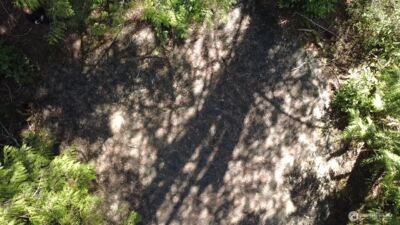 655 E Portage Road , Shelton, WA 98584 - Photo 12