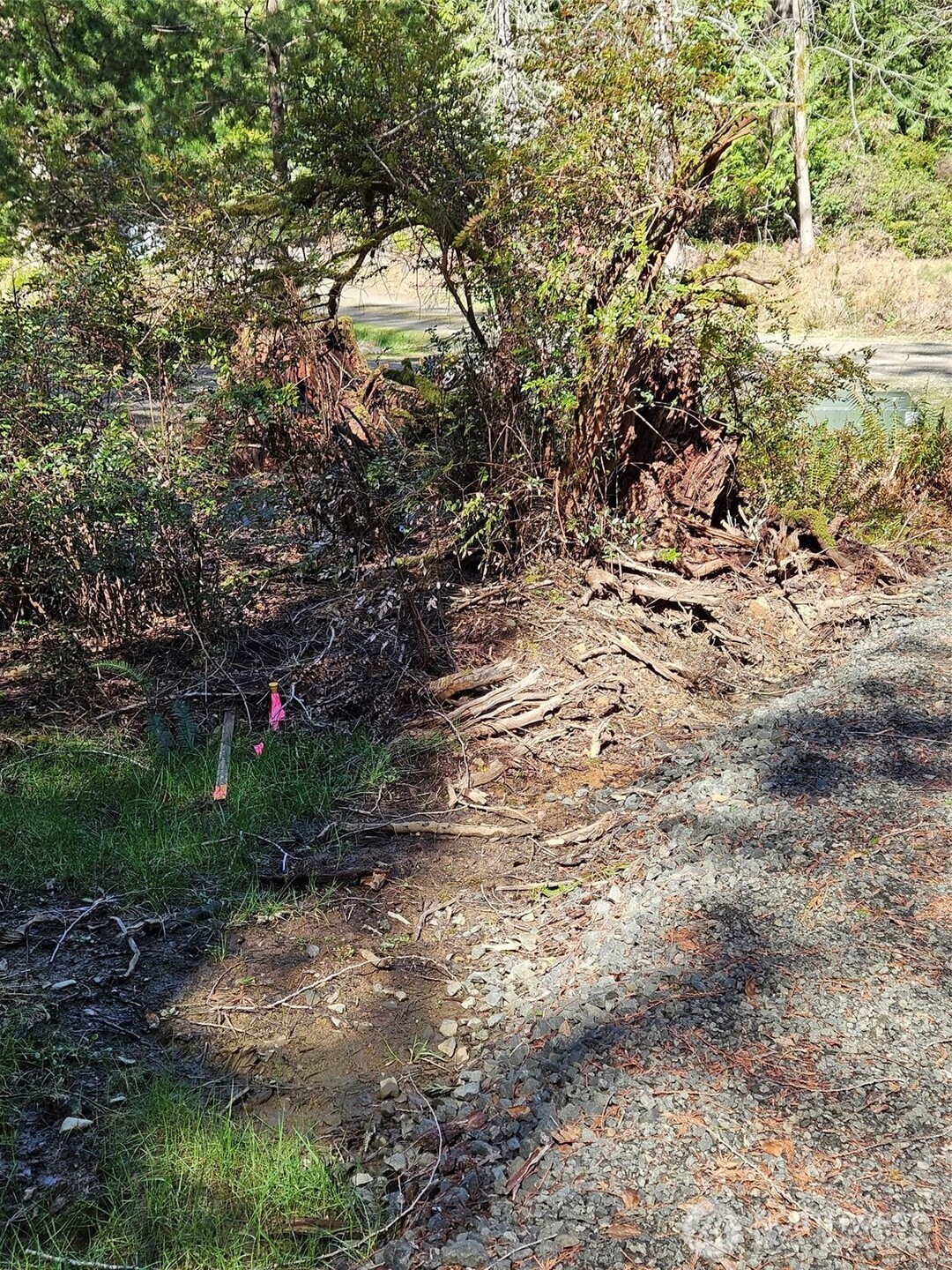 655 E Portage Road , Shelton, WA 98584