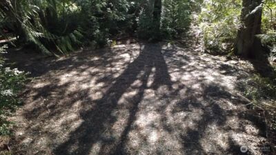 655 E Portage Road , Shelton, WA 98584 - Photo 6