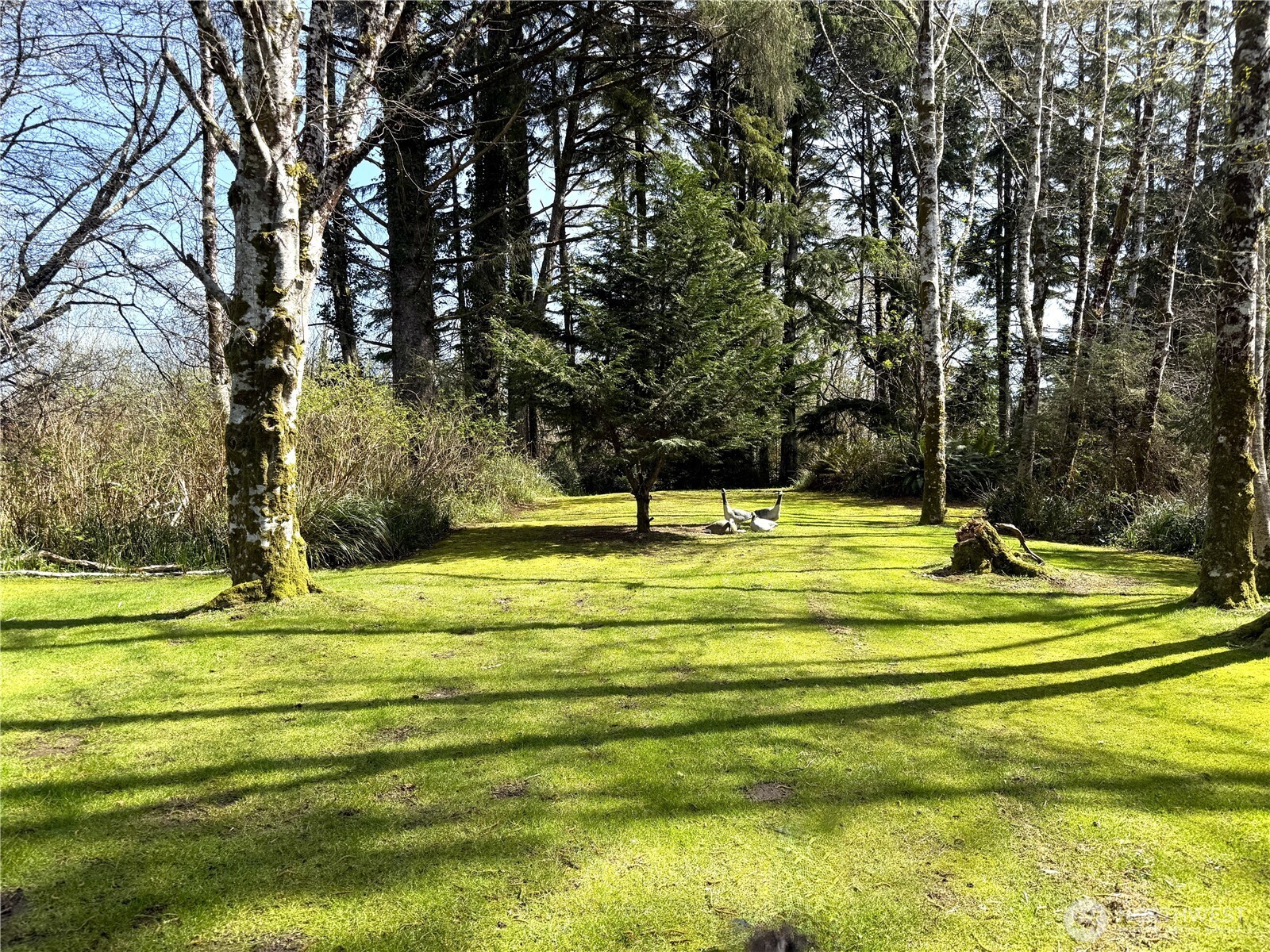 2554 Williwaw Lane , Ocean Shores, WA 98569