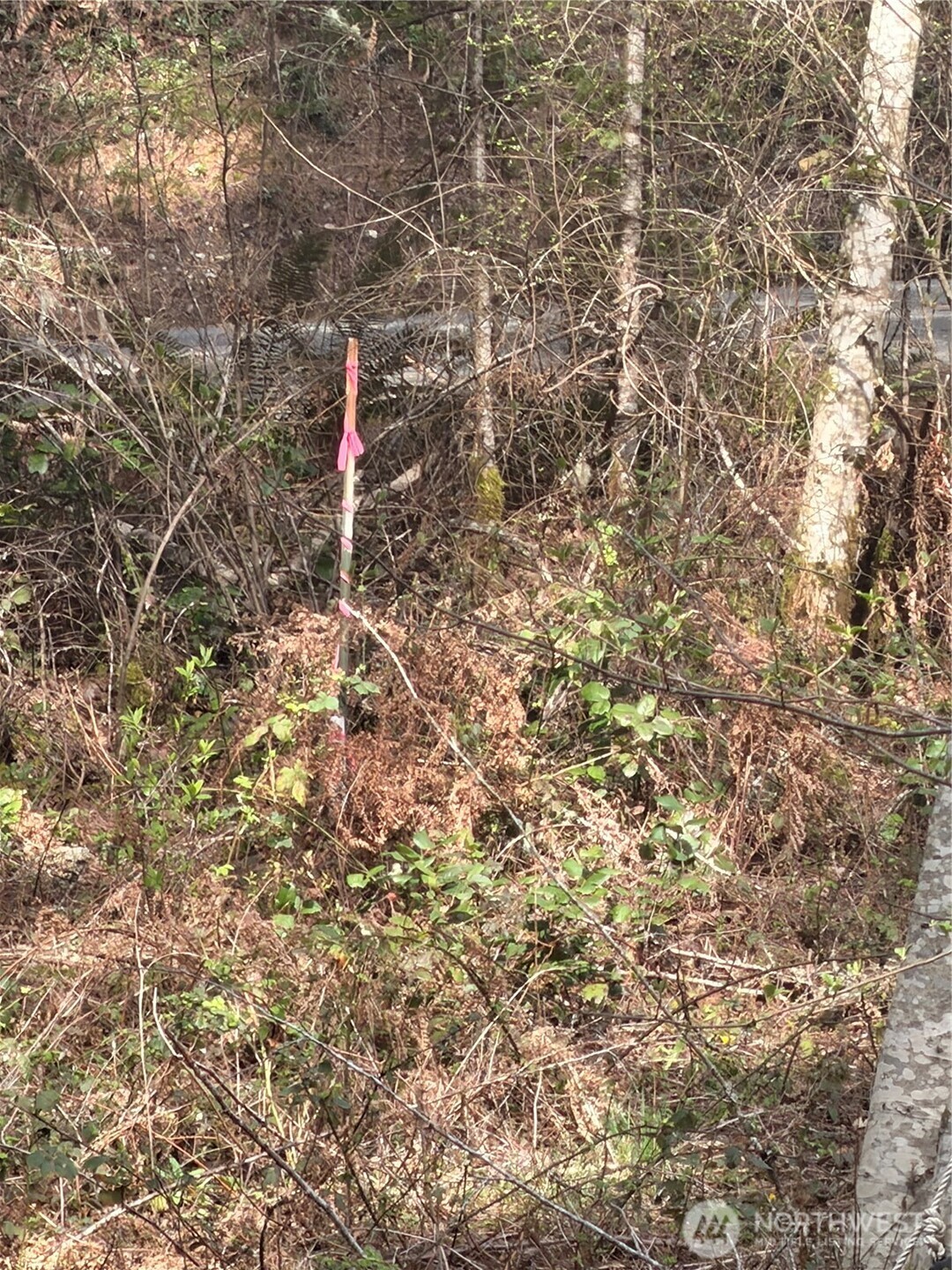 7688 SW Grace Street , Port Orchard, WA 98107