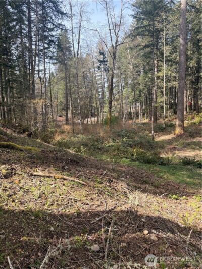 7688 SW Grace Street , Port Orchard, WA 98107 - Photo 14