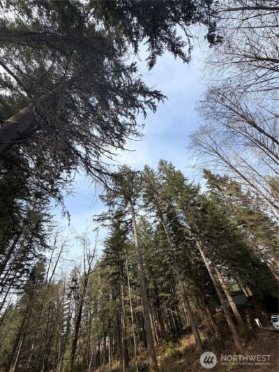 7688 SW Grace Street , Port Orchard, WA 98107 - Photo 23