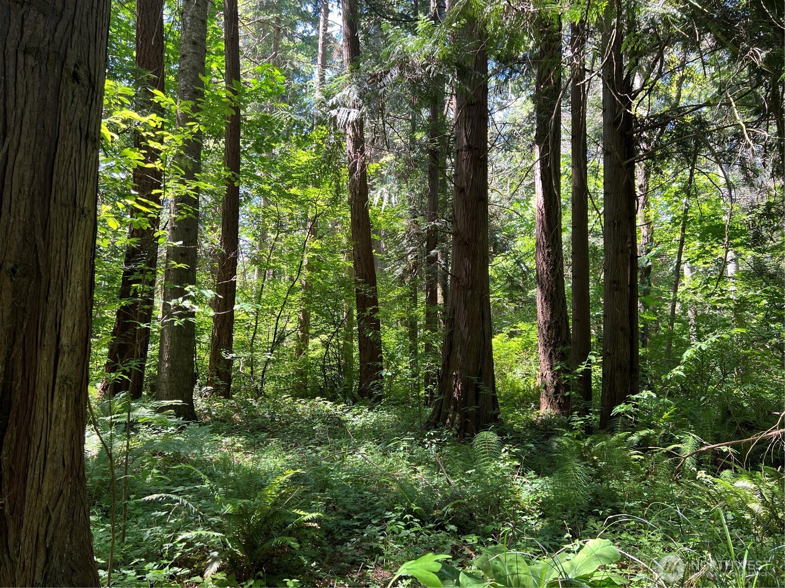 6 acres South Beach Road , Point Roberts, WA 98281