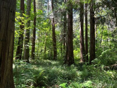 6 acres South Beach Road , Point Roberts, WA 98281 - Photo 1