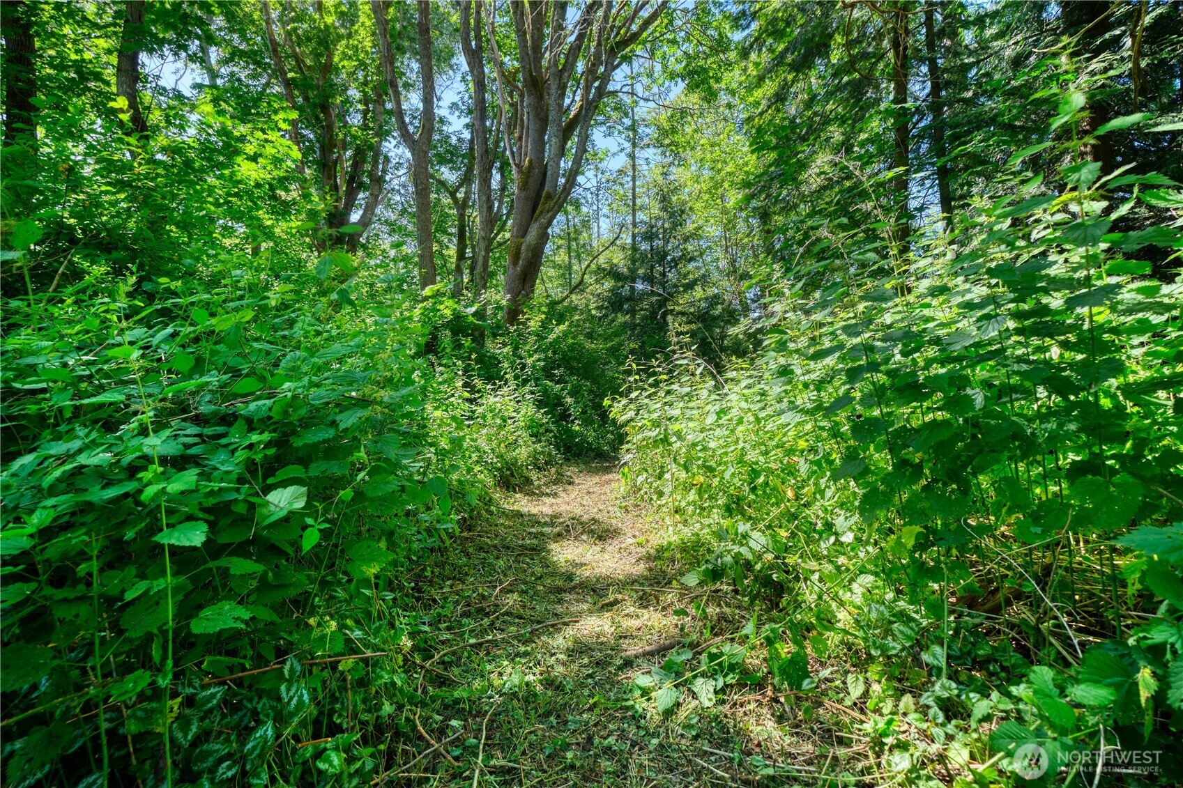 6 acres South Beach Road , Point Roberts, WA 98281