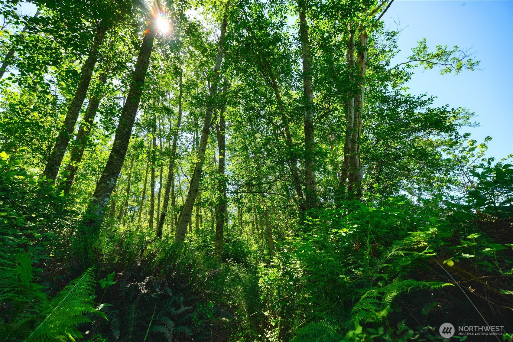 6 acres South Beach Road , Point Roberts, WA 98281