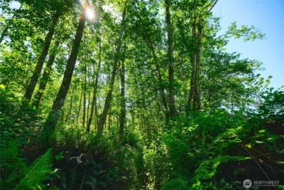 6 acres South Beach Road , Point Roberts, WA 98281 - Photo 11