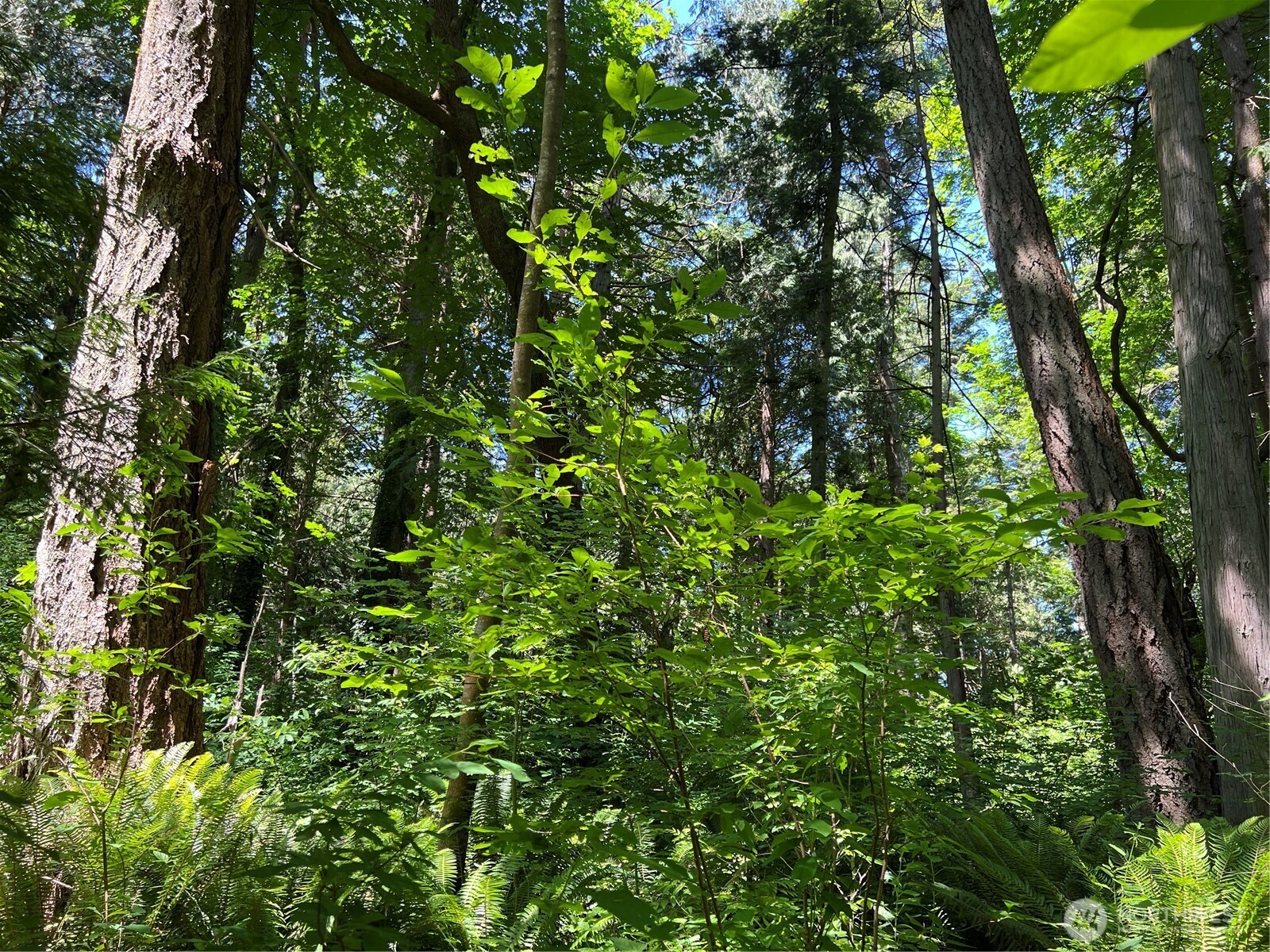 6 acres South Beach Road , Point Roberts, WA 98281