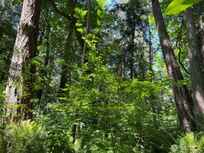 6 acres South Beach Road , Point Roberts, WA 98281 - Photo 13