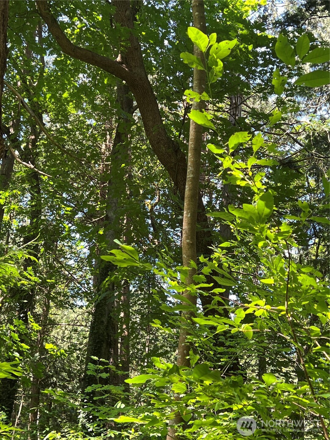 6 acres South Beach Road , Point Roberts, WA 98281