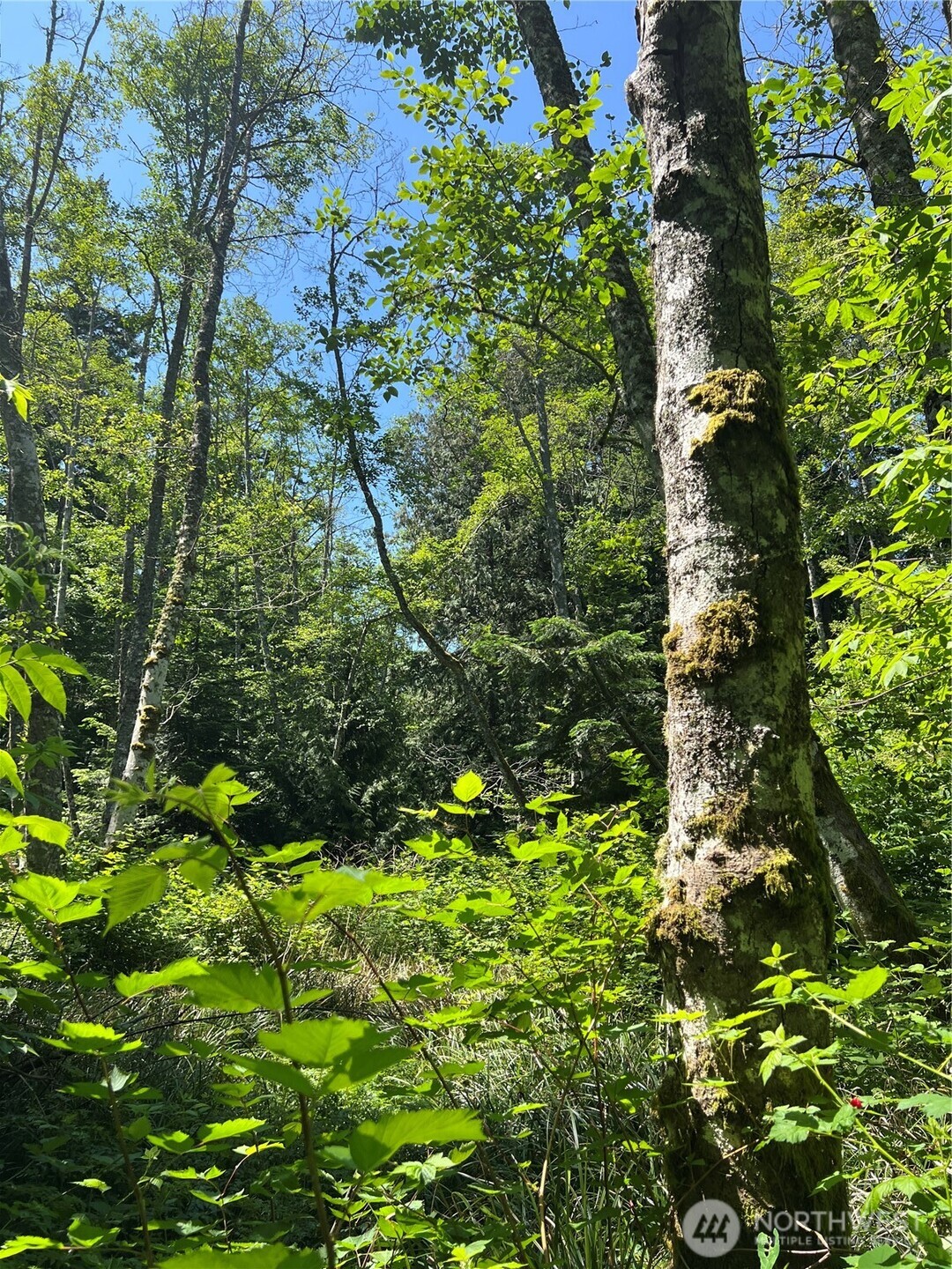 6 acres South Beach Road , Point Roberts, WA 98281