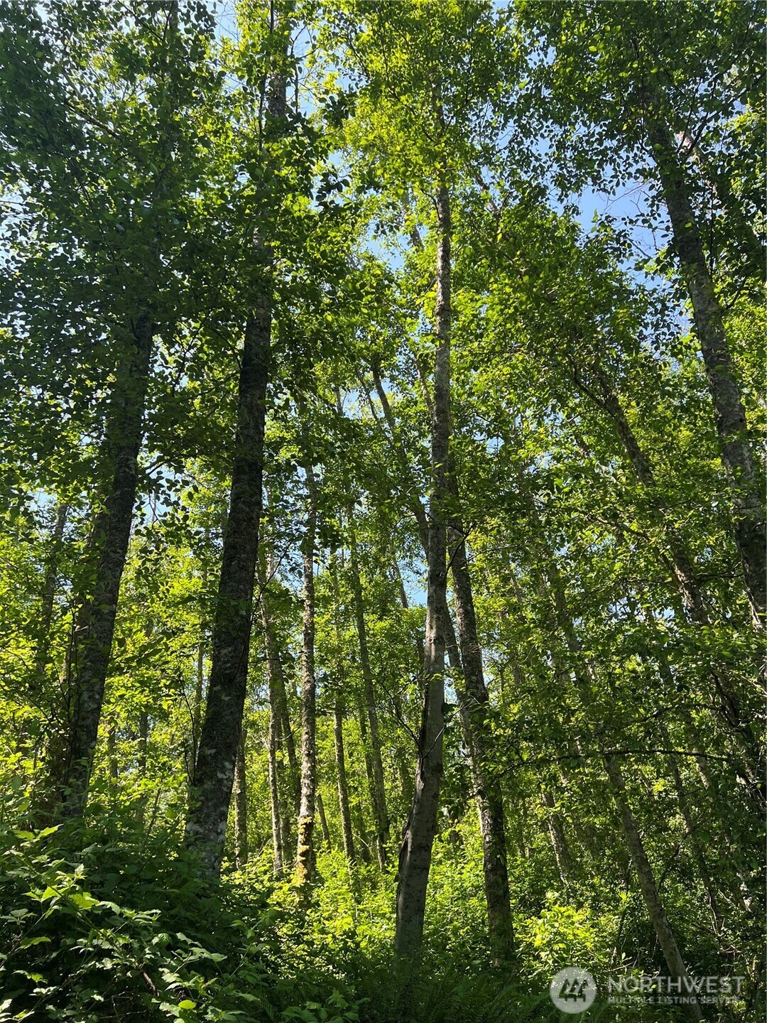 6 acres South Beach Road , Point Roberts, WA 98281