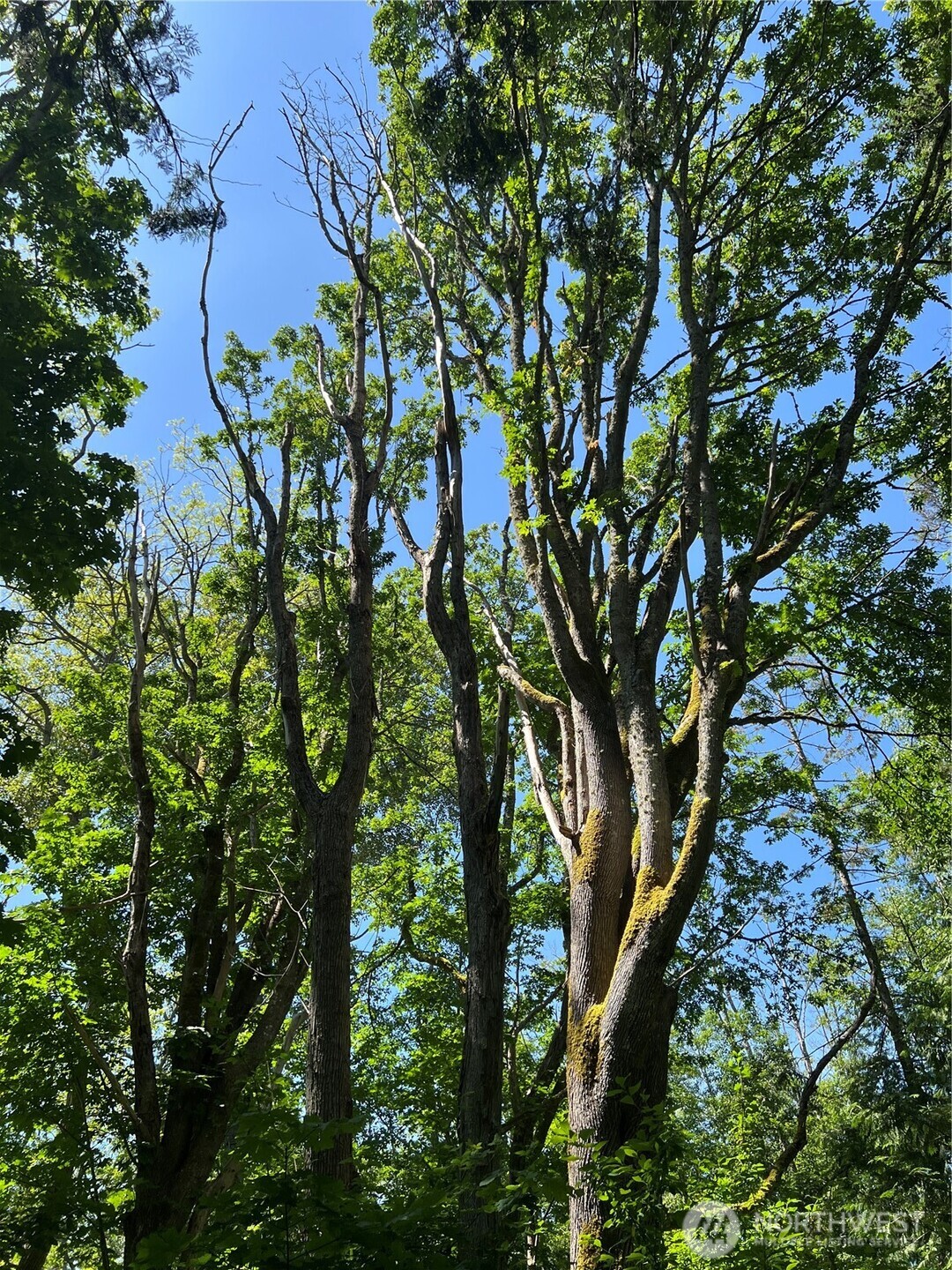 6 acres South Beach Road , Point Roberts, WA 98281