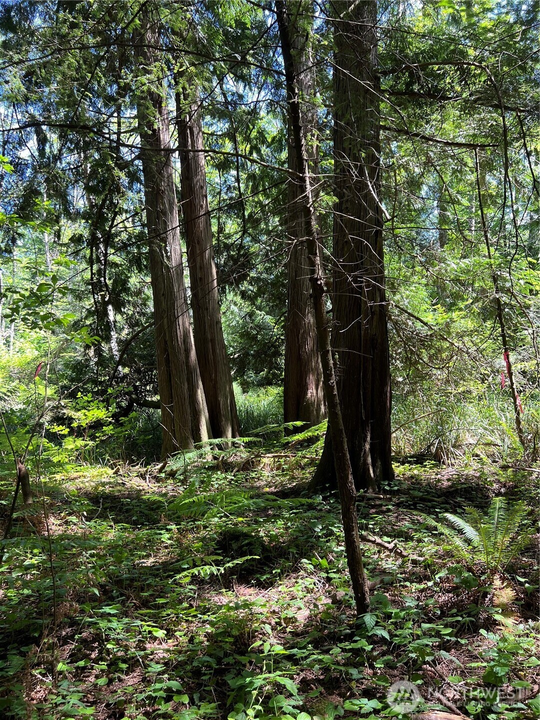 6 acres South Beach Road , Point Roberts, WA 98281