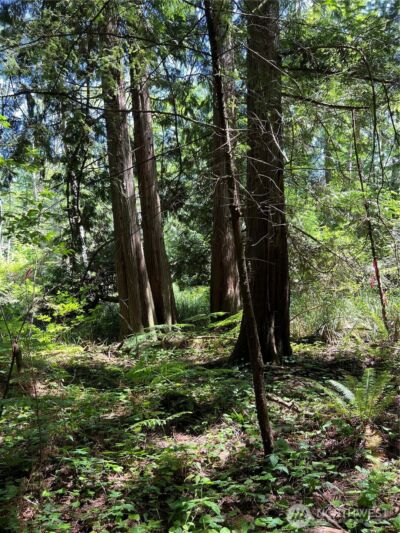 6 acres South Beach Road , Point Roberts, WA 98281 - Photo 18