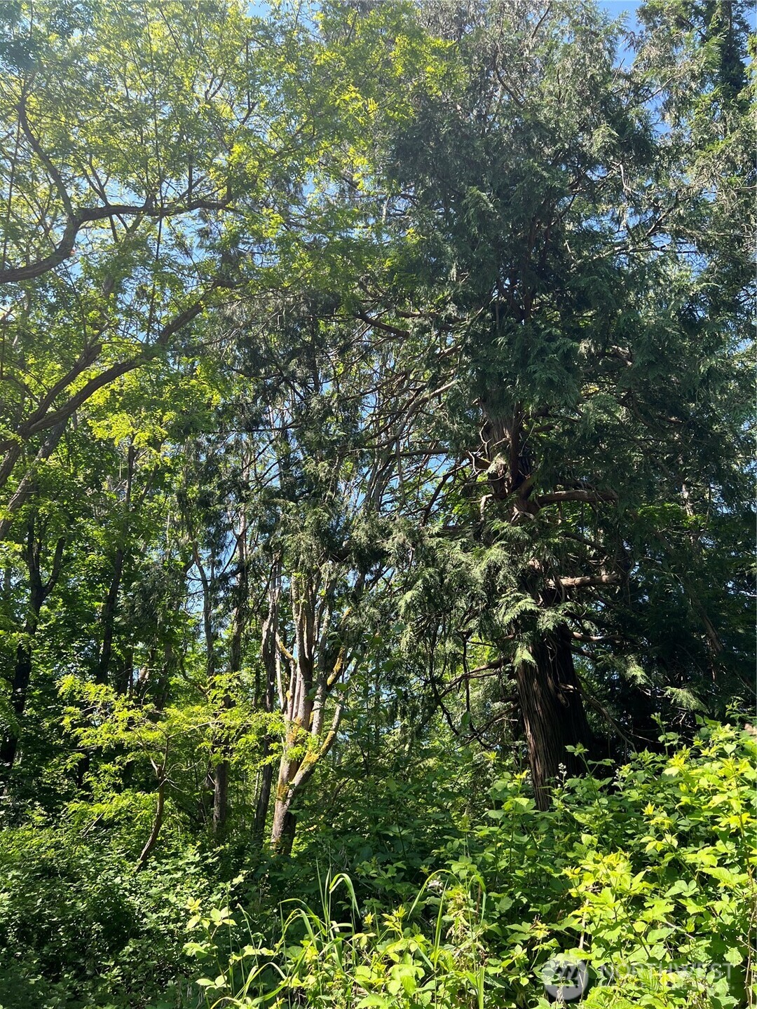 6 acres South Beach Road , Point Roberts, WA 98281