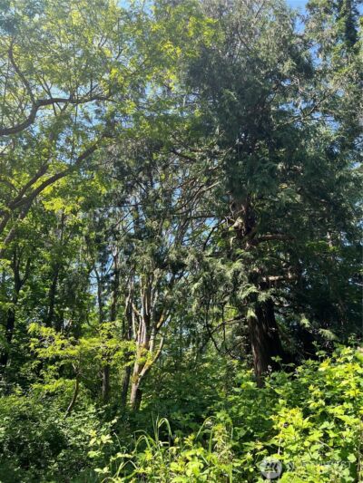 6 acres South Beach Road , Point Roberts, WA 98281 - Photo 19